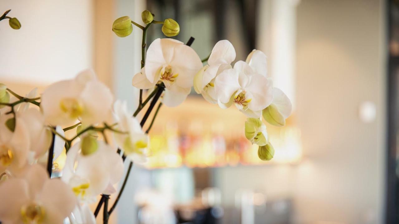 Heuboden Hotel Heu.Loft Freiburg 艾姆科奇 外观 照片